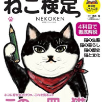 ねこ検定　