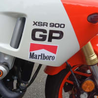 GPで秋吉台