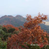 06/02お城めぐり-11（行橋市：馬ケ岳城跡）