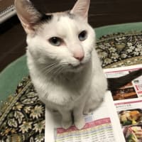 なな、細菌検査の結果が出ました。