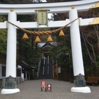 念願の秩父三社参拝