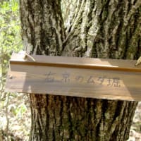 スルス峠の道探索図２