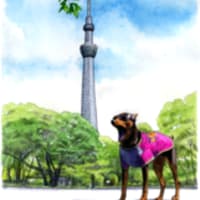 東京スカイツリーの絵に悪戦苦闘していま す ノー天気画家の本音生活 東京スカイツリーの絵に悪戦苦闘していま す ノー天気画家の本音生活