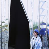 パナソニックPav.「ノモの国」・煌めく結晶の旅　～大阪関西万博　55