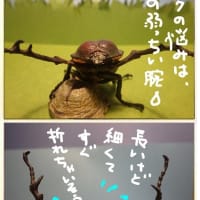 第２２２０話