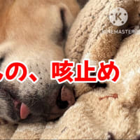 ロンさんの、咳止め☆コーレン☆
