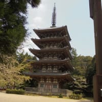 京都醍醐寺付近散策