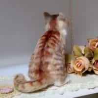 羊毛っこ　猫さん♪生まれました(*^^*)