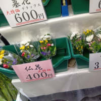 本日は駒川花市場へ仏壇とお墓にお供えする花を買いに。