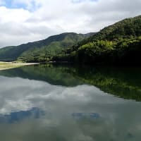 星降る川から（気まぐれダイアリー）７月１３日
