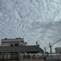 今朝の雲