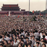 『六・四事件』『７０９弁護士一斉拘束』『中国の真実』