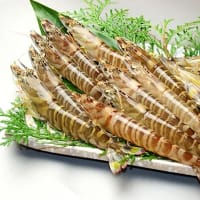 現在の「うすい山荘」の礎を築くため、並々ならぬ 行動力を発揮しました。