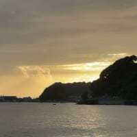 今日も雨上がりの空にうっとり～