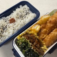 5月21日のお弁当