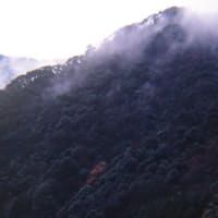 因美線キハ181系　山間に立ち昇る水蒸気　1997-12-30