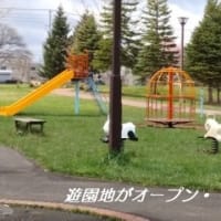  　5月の游縁通り公園・・