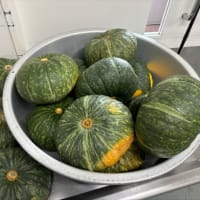 今日の学園の様子