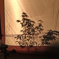 ありがとう光と影