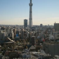 ２０１１年最後の記事（´・ω・｀）ｖ