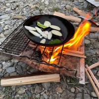 今日の漕ぎ