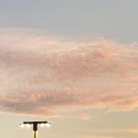 親との付き合い方　梅雨時の迷走