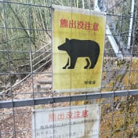 往復2時間半でかっこいい岩山制覇！太刀岡山ハイキングで歴史探訪