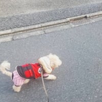 コート着て行くよ