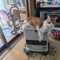 あれから一年