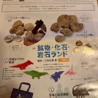 東京藝術大学名誉教授・野口三千三落下の石……鉱物標本開発