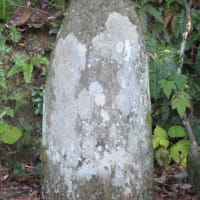 天満村寺尾九兵衛（30）寺尾ツタは義甥と寛延年間に坂之内池からの水路を完成させた