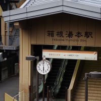【補正】久しぶりの箱根へーアジサイはまずまず、箱根登山鉄道の撮影は駄目だった（20250707）