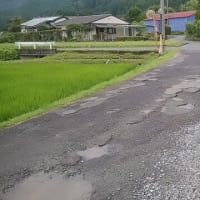 【025年07月15日 接道整備道路路線現況】