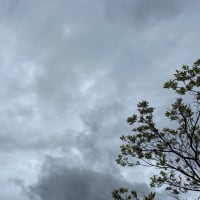 2021年4月13日　ハシゴ