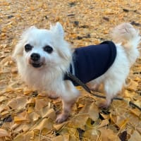 龍くん、14歳になりました🎉