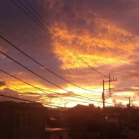 今朝の空