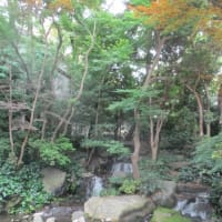 東京・白金台にある八芳園の日本庭園・・・実に美しいお庭でした！江戸時代に出来た４００年の歴史を持つ日本庭園