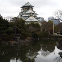 大阪城公園（２０２５年３月７日）