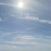 今世で最も大切なパートナー