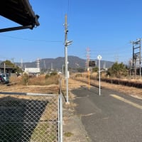 たますんブログ12回目