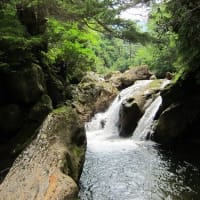 1377      　　東北吾妻連峰・前川大滝沢