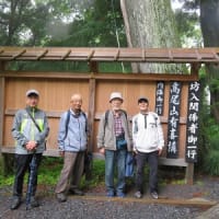 小雨の中の高尾山へ　　　⁻