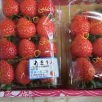 今日はイチゴを買いに行きました。