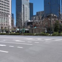 ３月の東京駅：丸の内ビルディング前から新丸の内ビルディング前へ　ＰＡＲＴ２