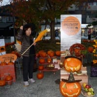 ハロウィン