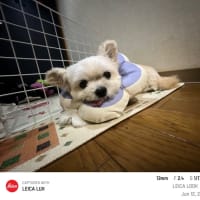 表面と裏面➡︎表面と裏面　何か？
