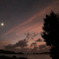 星月夜