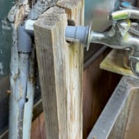 梅干し作りますか！？