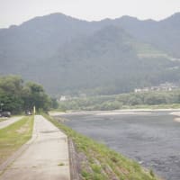 7/2-5 梅雨明けて天然遡上🐟魚の成長楽しみだがイマイチな北越三面川高根川でねー❓