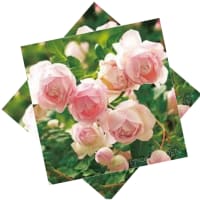 二重かさね作品＆花文字